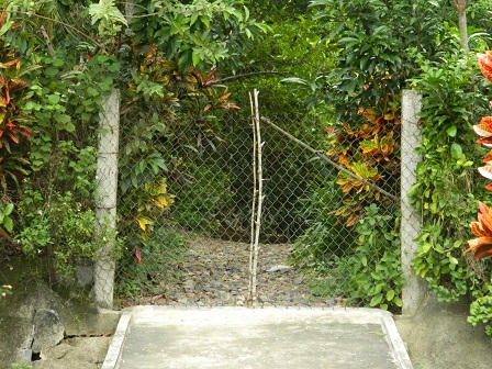 Cô gái biến mất sau khi kể chuyện sinh con với cha đẻ